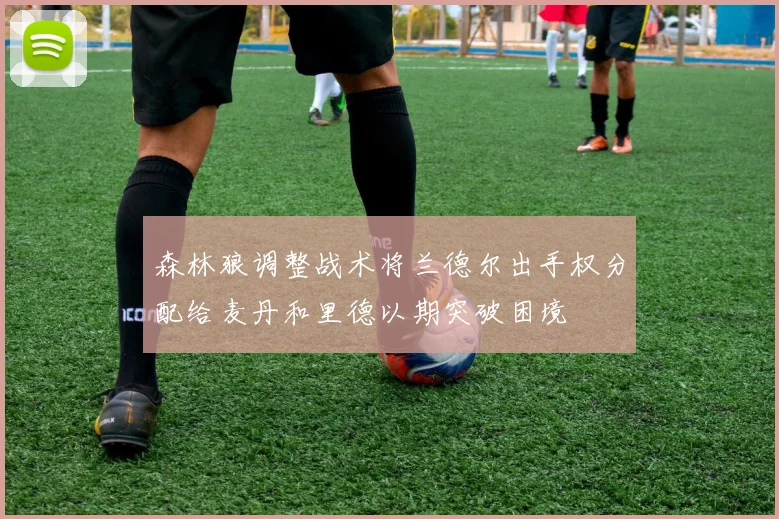 森林狼调整战术将兰德尔出手权分配给麦丹和里德以期突破困境